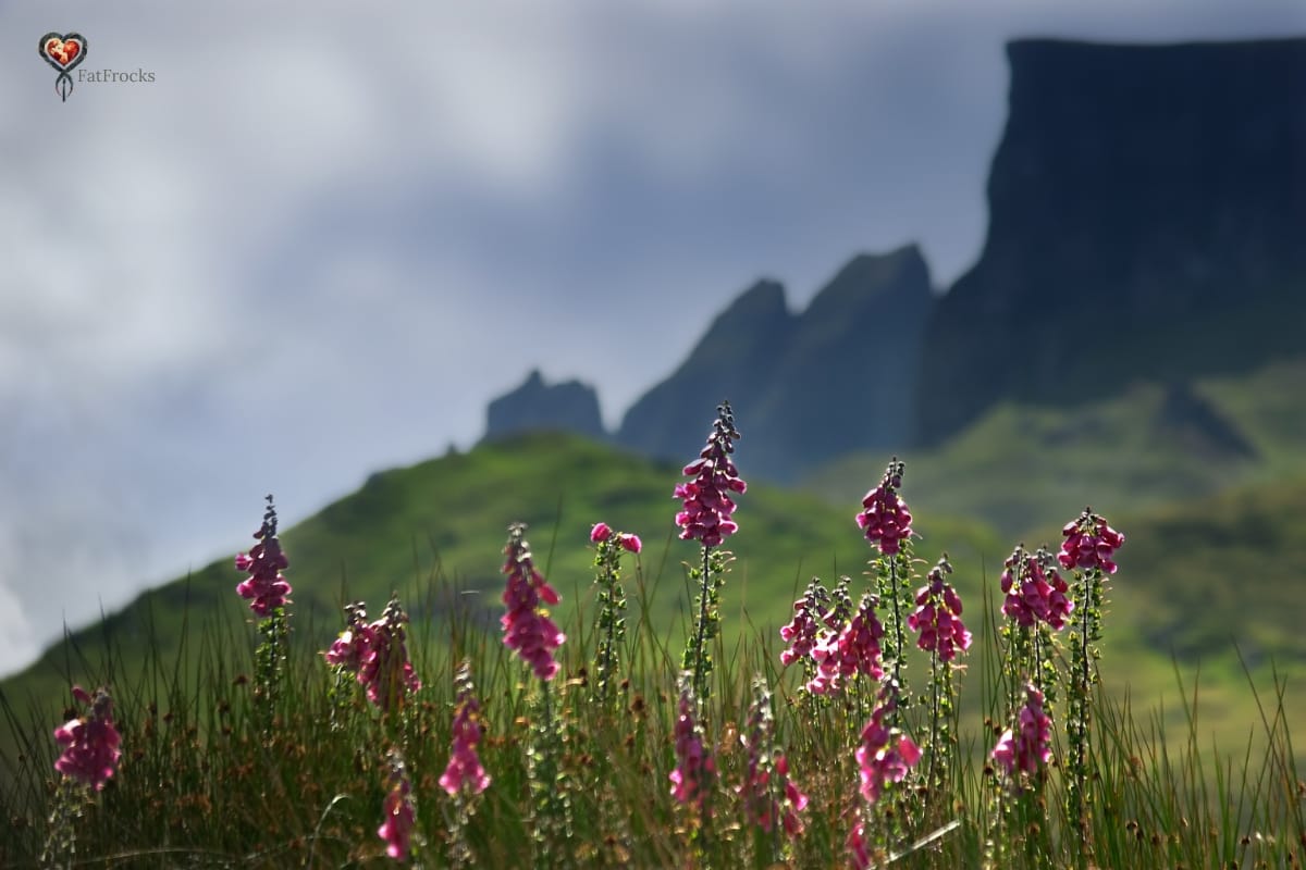 The Isle of Skye 5 day Itinerary